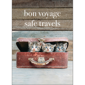 M133 - Bon Voyage, Safe Travels - Kitten Greeting Card