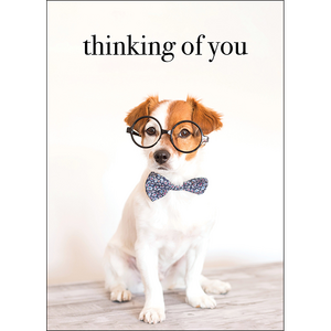 M136 - Thinking Of You - Puppy Greeting Card
