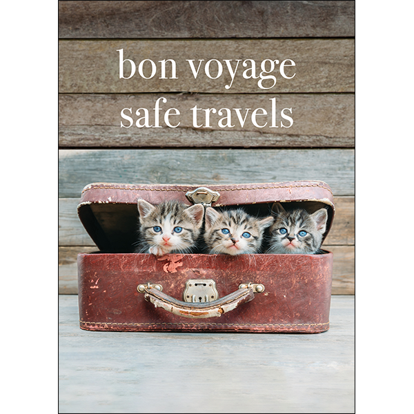 Kitten Travel card | Affirmations Publishing House