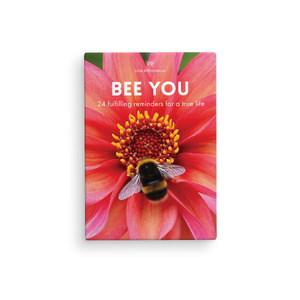 DBE - Bee You - 24 Animal affirmation cards + stand