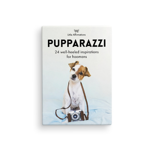 DPZ - Pupparazzi - 24 Animal affirmation cards + stand