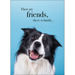 M104 - There Are Friends, There Is Family - Animal Greeting Card