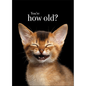M032 - You're How Old? - Animal Greeting Card