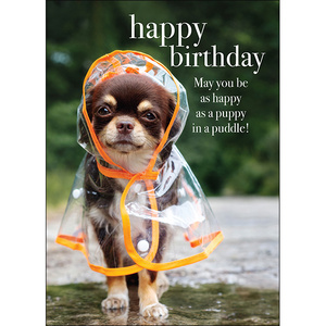 M067 - Happy Birthday - Animal Greeting Card