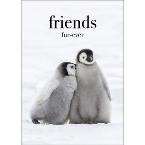 TM03 - Friends fur-ever - Penguin Mini Card
