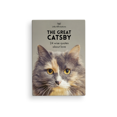 DGC - The Great Catsby - 24 Animal affirmation cards + stand