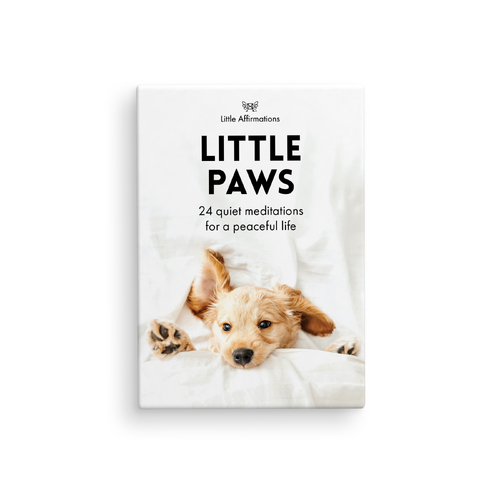 DLP - Little Paws - 24 Animal affirmation cards + stand