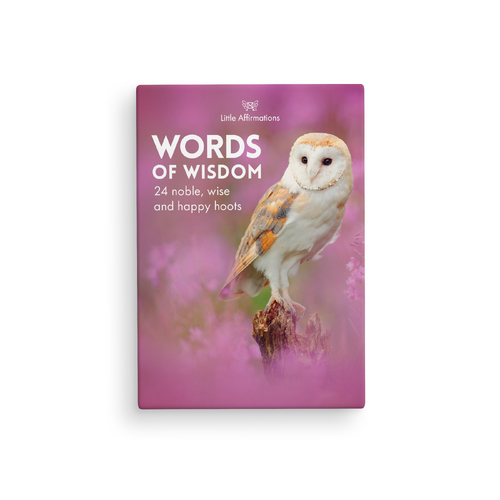 DWW - Words of Wisdom - 24 Animal affirmation cards + stand